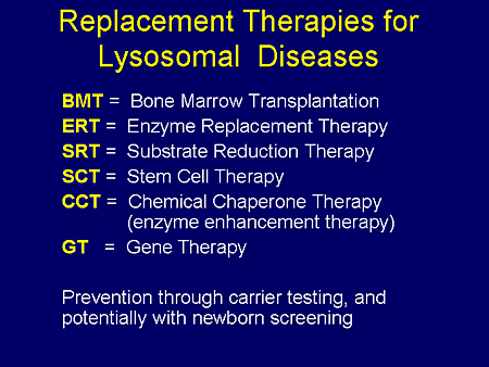 Replacement Therapies for Lysosomal Diseases