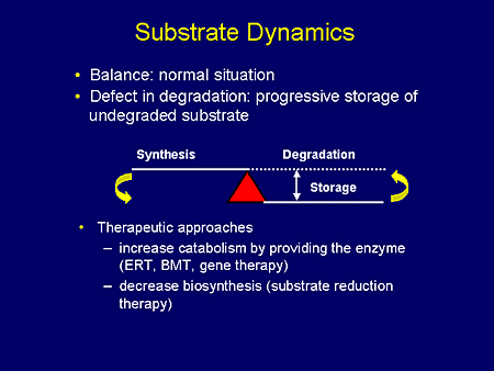 Substrate Dynamics