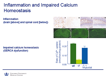 Inflammation and Impaired Calcium Homeostasis