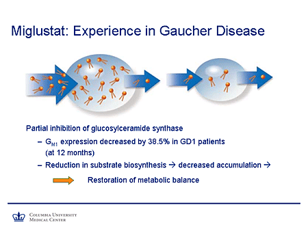 Miglustat: Experience in Gaucher Disease