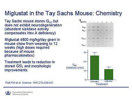 Miglustat in the Tay-Sachs Mouse: Chemistry