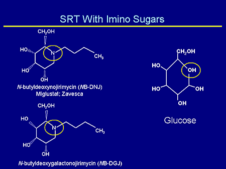 SRT With Imino Sugars
