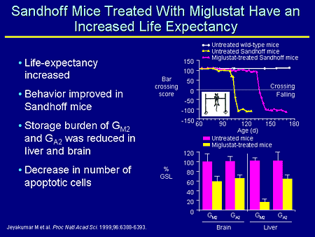 Sandhoff Mice Treated With Miglustat Have an Increased Life Expectancy