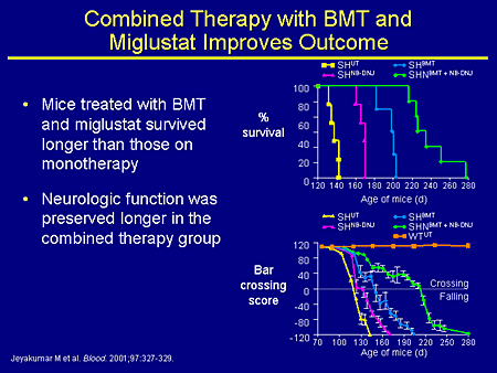 Combined Therapy with BMT and Miglustat Improves Outcome