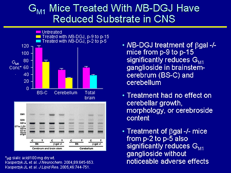 GM1 Mice Treated With NB-DGJ Have Reduced Substrate in CNS
