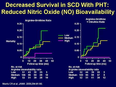 Decreased Survival in SCD With PHT: Reduced Nitric Oxide (NO) Bioavailability