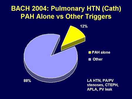 BACH 2004: Pulmonary HTN (Cath): PAH Alone vs Other Triggers