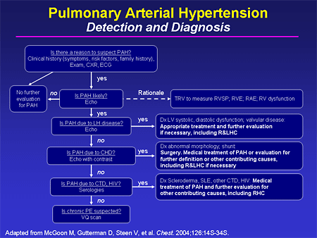 Pulmonary Arterial Hypertension: Detection and Diagnosis