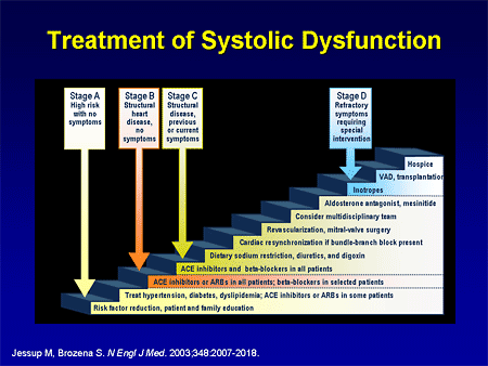 Treatment of Systolic Dysfunction
