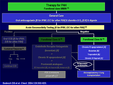 Therapy for PAH