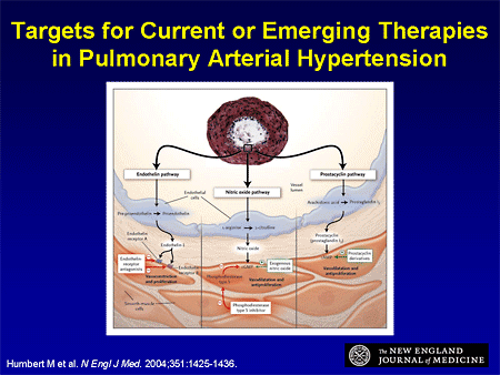 Targets for Current or Emerging Therapies in Pulmonary Arterial Hypertension
