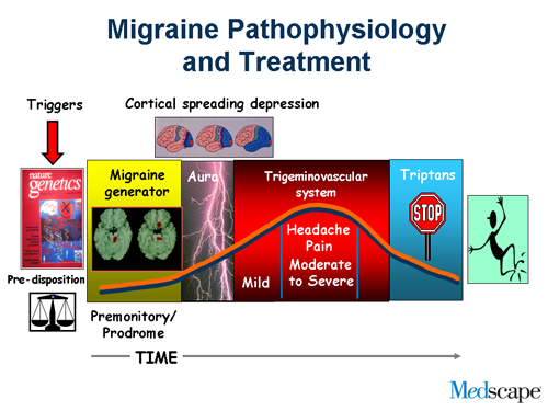 Slide 3.