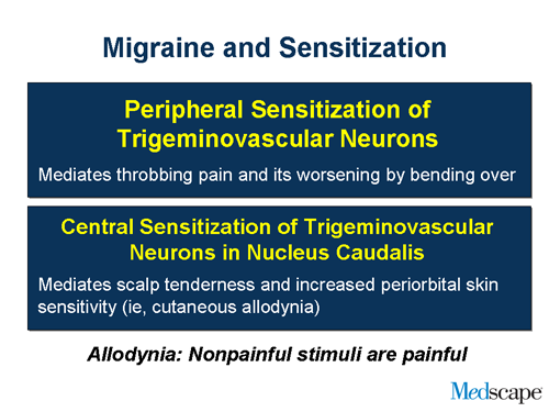 Slide 5.