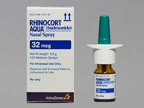 Rhinocort spray deals