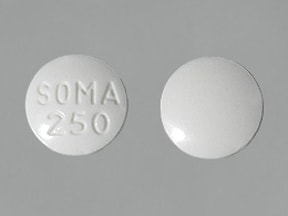 Soma carisoprodol and pregnancy