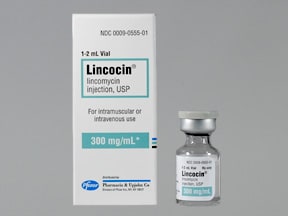 lincocin 2 ml 600mg 1 ampul