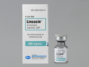 inj lincomycin dose