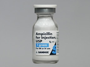 Ampicillin Pills No Prescription