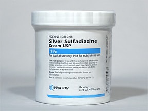silver sulfadiazine cream dogs