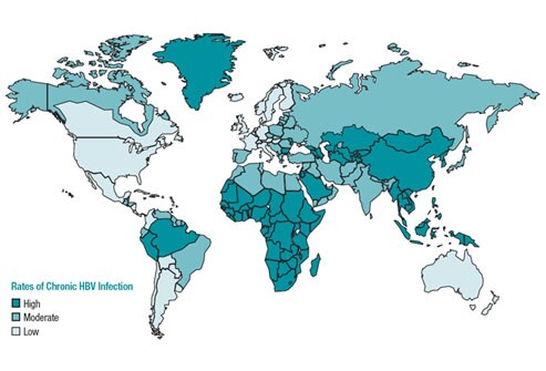 Image courtesy of the CDC.